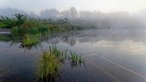 Nebel bedeckt an einem kalten Morgen einen Weiher, in dem sich die Kondensstreifen am Himmel spiegeln