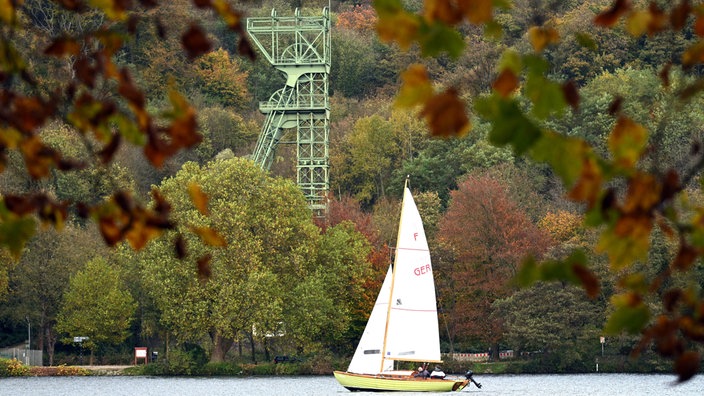 Herbstlich gefärbt sind die Blättern der Bäume am Baldeneysee auf dem ein Boot segelt.