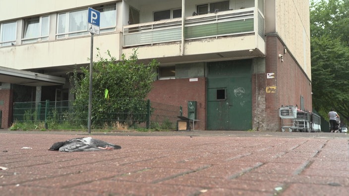 Eine tote Taube liegt vor dem Hochhaus