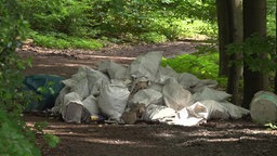 Illegal entsorgter Bauschutt im Wald