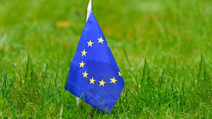 EU Fahne auf einer grünen Wiese