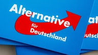 Ein Stappel Broschüren mit dem Logo der AfD