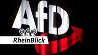 Logo der AfD auf eine Wand projeziert 