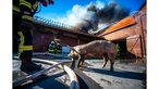 Ein Ferkel läuft über einen Feuerwehrschlauch, im Hintergrund brennt ein Stall, mehrere Feuerwehrmänner sind mit Löscharbeiten beschäftigt