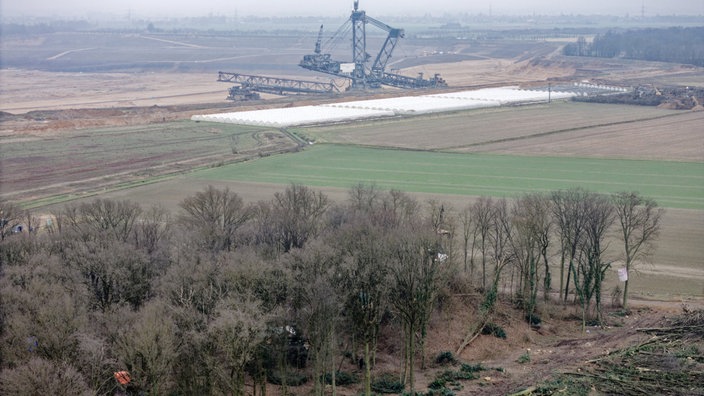 Nur noch ein kleiner Rest des Sündenwäldchens steht nach dem Beginn der Rodung durch RWE Power am Rande des Tagebaus Hambach. 