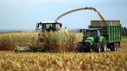 Ein Bauer erntet mit einer Erntemaschine in der Nähe von Zülpich Mais