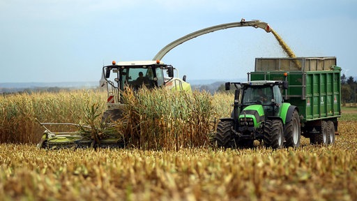 Ein Bauer erntet mit einer Erntemaschine in der Nähe von Zülpich Mais