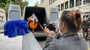 Die Maus kommt mit einem Tuch verdeckt im LKW beim WDR an und wird von einem Plüsch-Elefanten begrüßt