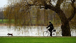 Ein Mann radelt mit seinem Hund am Rhein in Bonn entlang.