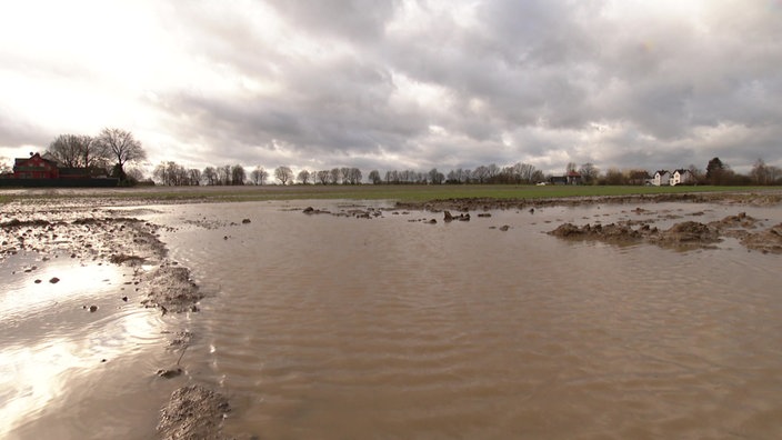 Ein unterm Wasser stehendes Kartoffelfeld