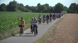 Blick von vorne auf eine Gruppe von Radfahrern