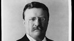 Porträt von Theodore Roosevelt