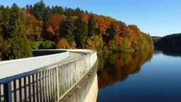 Eschbachtalsperre in herbstlicher Umgebung