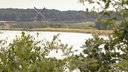 Der Fluss Maas mit einer Windmühle