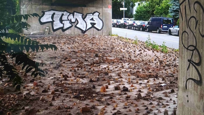 Unterhalb einer Brücke, neben einer Straße befinden sich über die gesamte Fläche Steine, der Brückenpfeiler ist mit Grafiti besprüht.