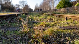 Ehemalige Bahnstrecke in Kranenburg