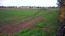 Blick auf Erweiterungsfläche neben dem Bonner Nordfriedhof