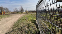 Ein Zaun am rechten Rand, links ein Feldweg zwischen Wiesen.