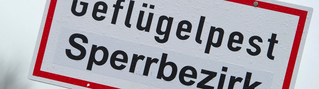 Ein Schild mit der Aufschrift "Geflügelpest Sperrbezirk"