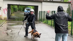 Polizist hält Polizeihund zurück, de einen Mann mit erhobenen Händen anbellt