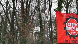 Protestierende auf einem Baum wegen Rodung des Sündenwälchen