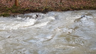 Wasserabgabe der Wupper-Talsperre