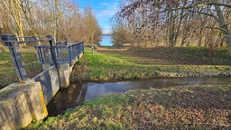 Das Foto zeigt den bereits existierende Hochwasserabschlag am Neffelbach in Zülpich.