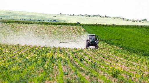 Ein Trecker fährt auf einem grünen Feld, hinter ihm bildet sich Staub.