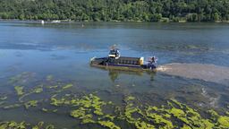 Zu sehen ist das Leih-Mähboot auf einem Stausee.