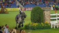 Eine Frau reitet auf einem grauen Pferd durch ein Springstadion und winkt dabei den Zuschauern zu.