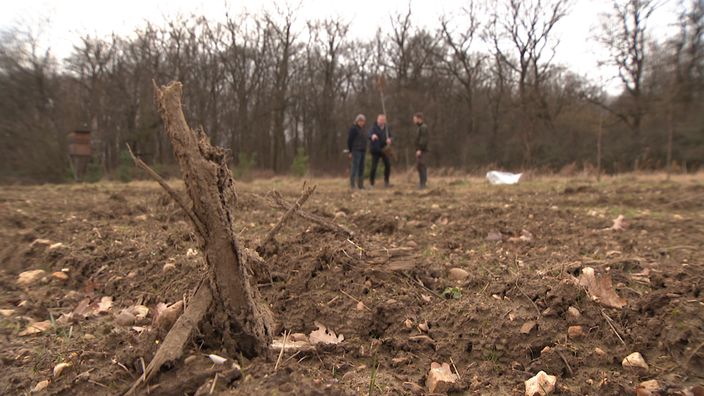 Drei Männer stehen auf einem Feld, vor ihnen eine verwüstete Landschaft