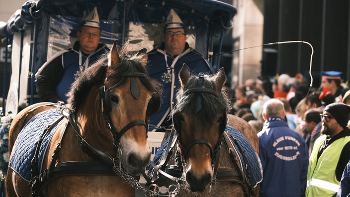 Pferdekutsche beim Rosenmontagszug in Köln