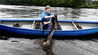 Elodea wird von Mann im Kanu mit Gartenharke entfernt