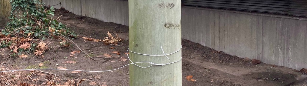 Das Drahtseil ist um den Baum gewickelt.