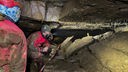 Forscher in roten Klamotten leuchten mit Taschenlampen in die neu entdeckte Höhle in Ennepetal