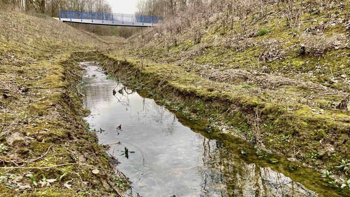 Der neue Ostbach in Herne