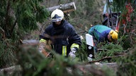 Feuerwehrmann bahnt sich seinen Weg durch umgestürzte Bäume