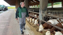 Landwirt Andreas Thesing aus Heek im Kreis Borken steht bei seinen Kühen, die gefüttert werden