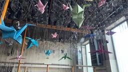 Das Foto ziegt bunter Papiervögel, die von der Decke der alten Waschkaue der Neuen Zeche Westerholt hängen.