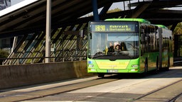 Personalmangel bei den Busfahrern der STOAG (Symbolfoto)