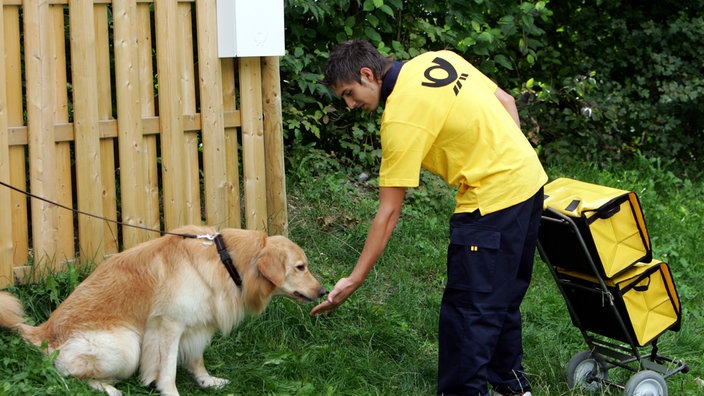 Postbote trifft Hund