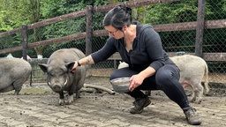 Pflegerin Nora Itzek im Gehege mit Schwein Schröder.