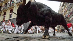 Stierlauf des San Fermín-Festivals in Pamplona, Spanien