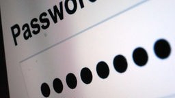 Ein Passwort ist im Eingabefenster mit schwarzen Punkten zensiert.