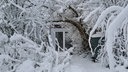 Schneebedeckte Äste hängen vor einem Gartenhaus