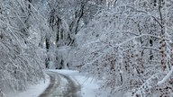 Zugeschneiter Waldweg auf dem Ölberg im Siebengebirge