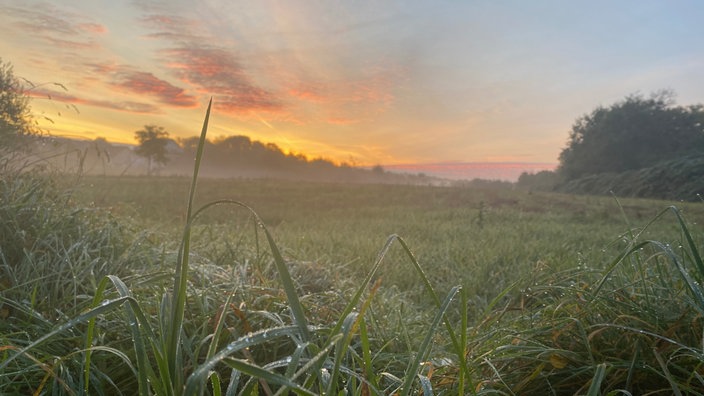 Sonnenaufgang über einer Wiese im Kölner Westen am Dienstagmorgen, 15.10.2024