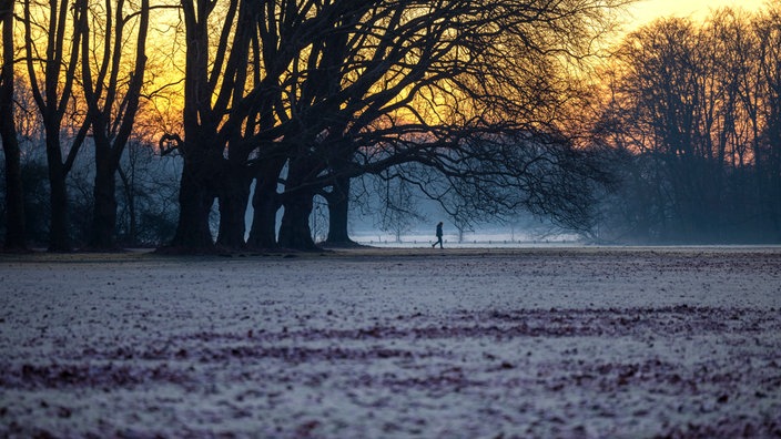 Ein Mann spaziert bei Sonnenaufgang durch einen Park