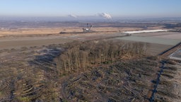 Nur noch ein kleiner Rest des Sündenwäldchens steht nach dem Beginn der Rodung durch RWE Power am Rande des Tagebaus Hambach. 