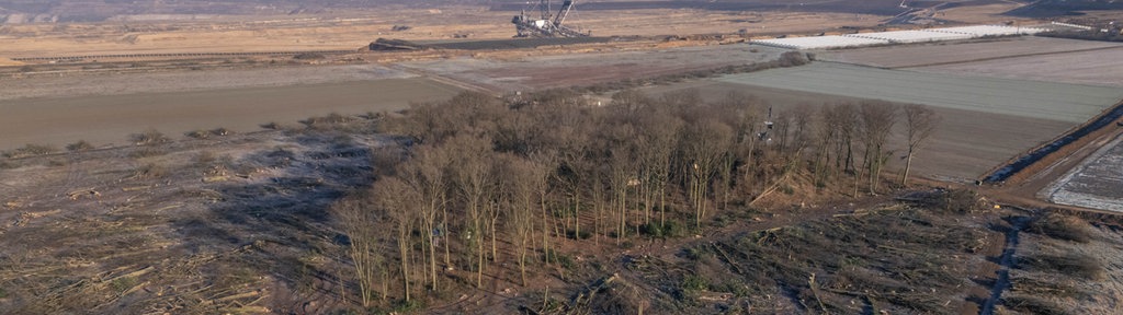 Nur noch ein kleiner Rest des Sündenwäldchens steht nach dem Beginn der Rodung durch RWE Power am Rande des Tagebaus Hambach. 